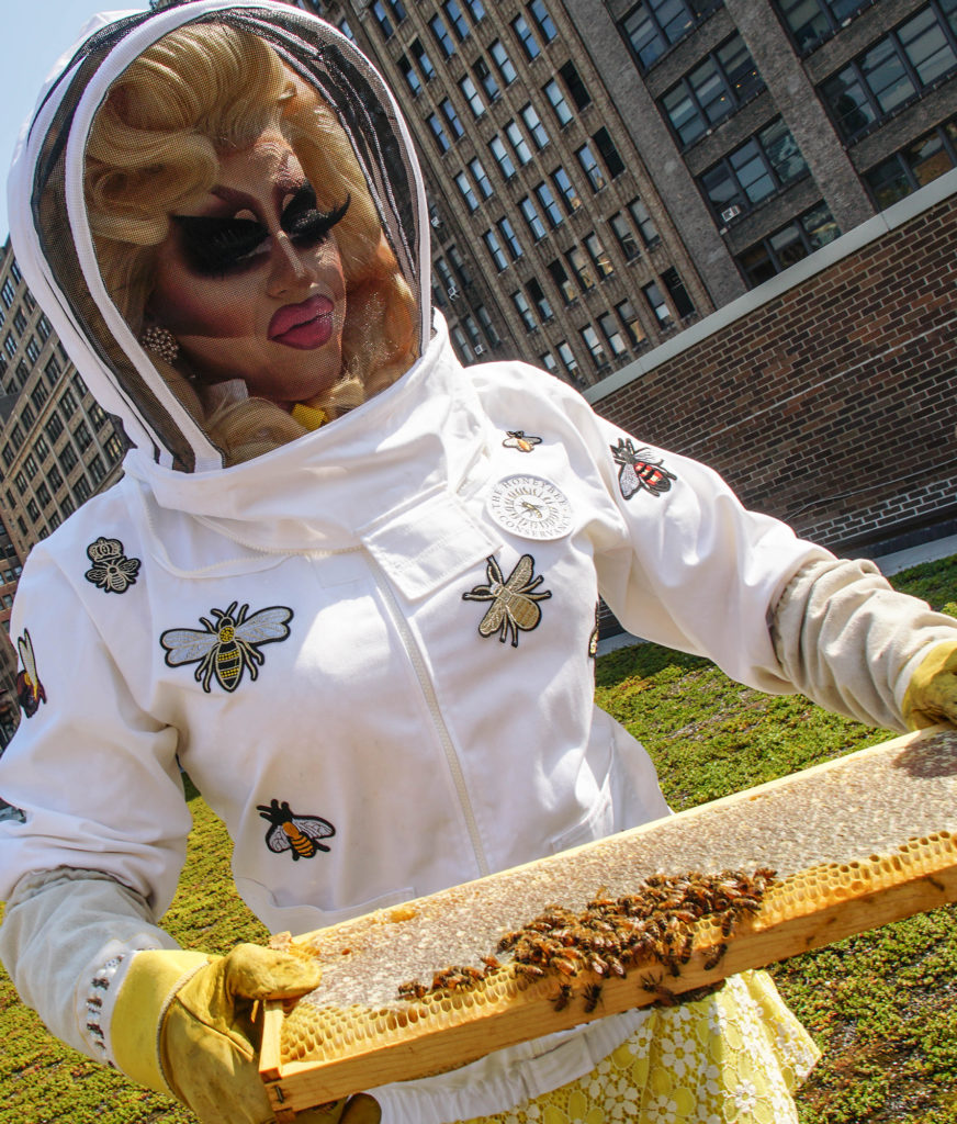beekeeper holding beehive on tray