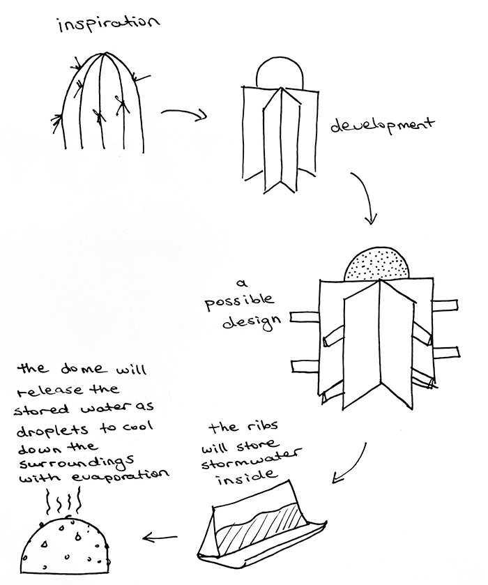 cactus biodesign illustration with description of how it will help the environment