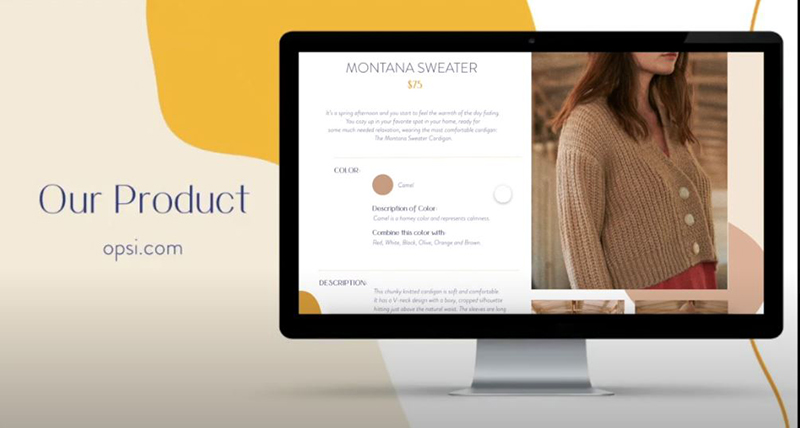 computer showing website featuring virtual aid for online shoppers